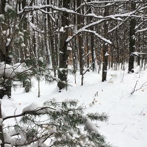 Meet your Posher, Christa